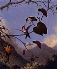 Amethyst Woodstar by Martin Johnson Heade